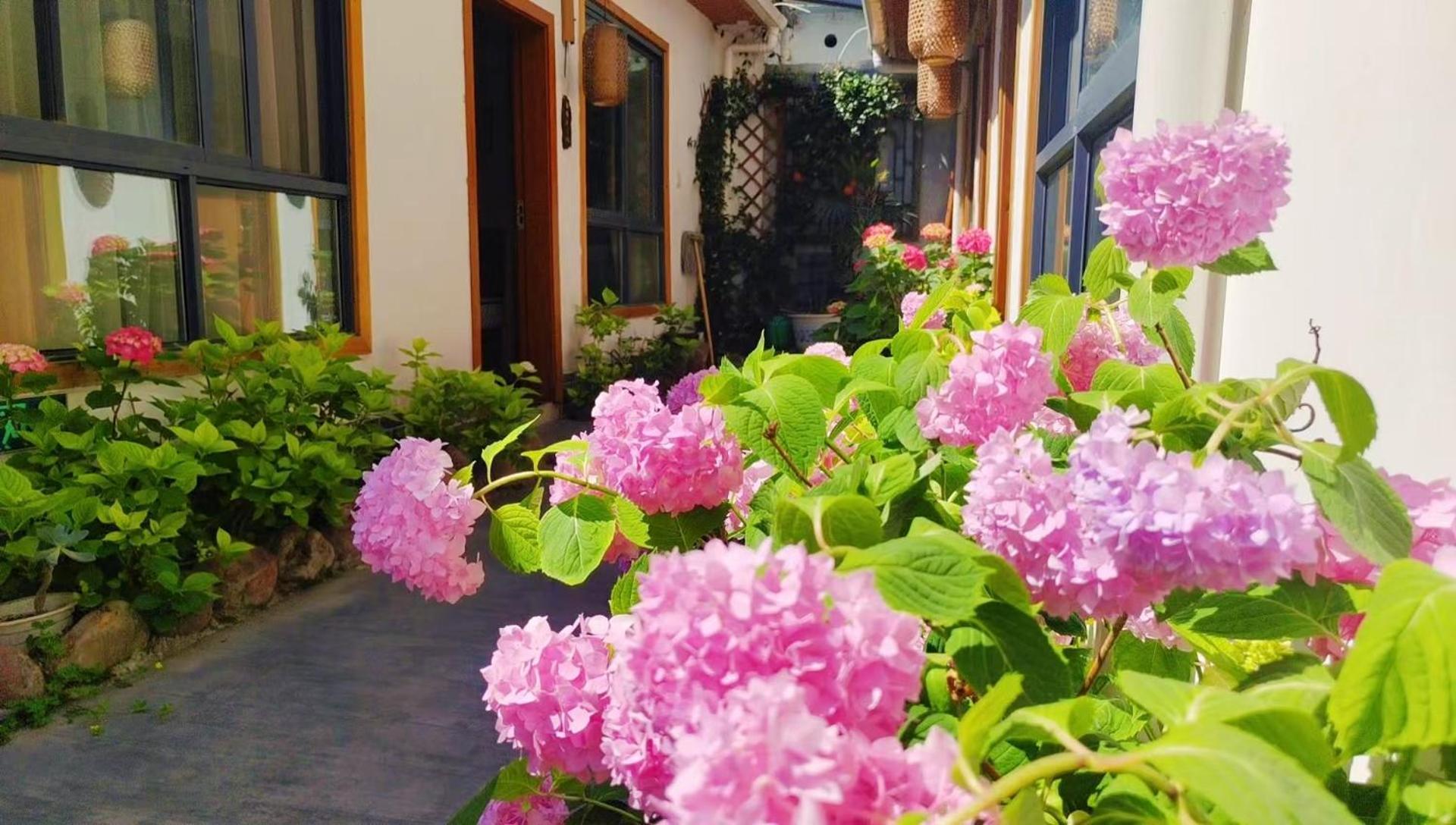 Zhangjiajie Tingyutang Little Yard Экстерьер фото